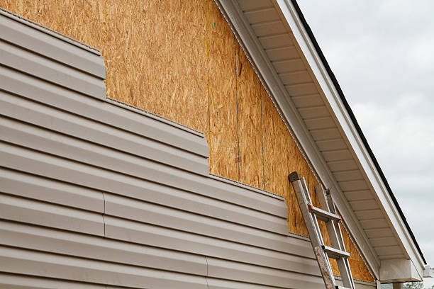 Professional Siding Inspection technician working in Erie, IL